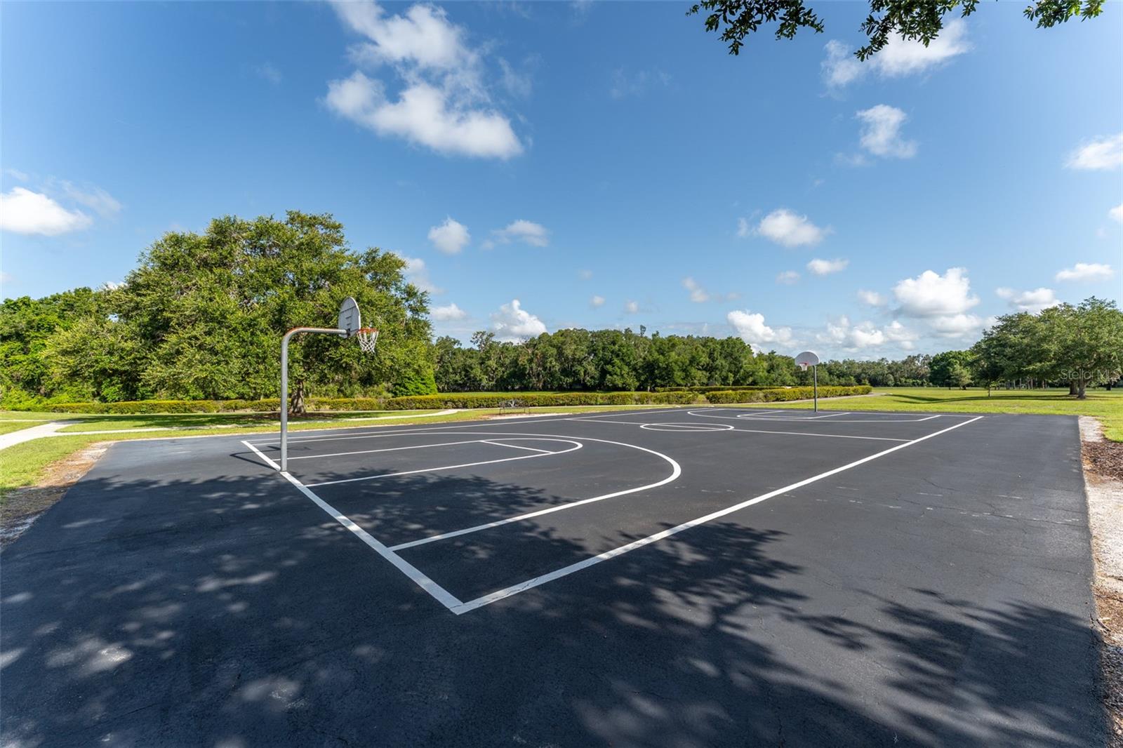 Basketball Court