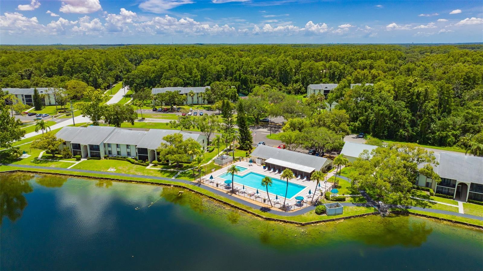 Community Aerial View