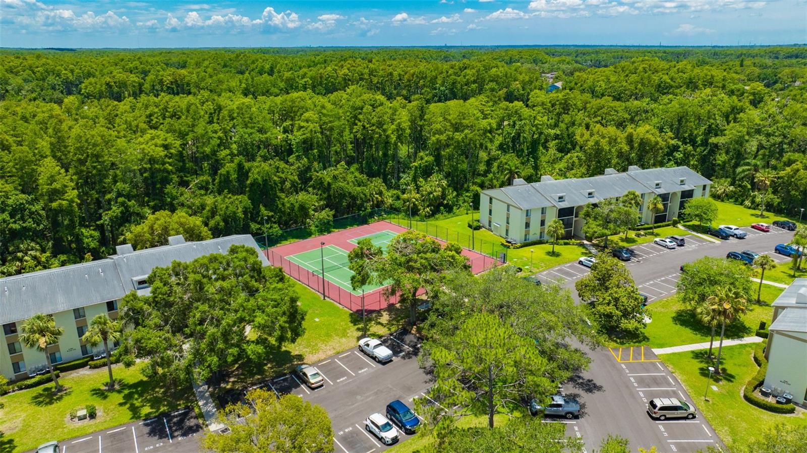 Community Aerial View