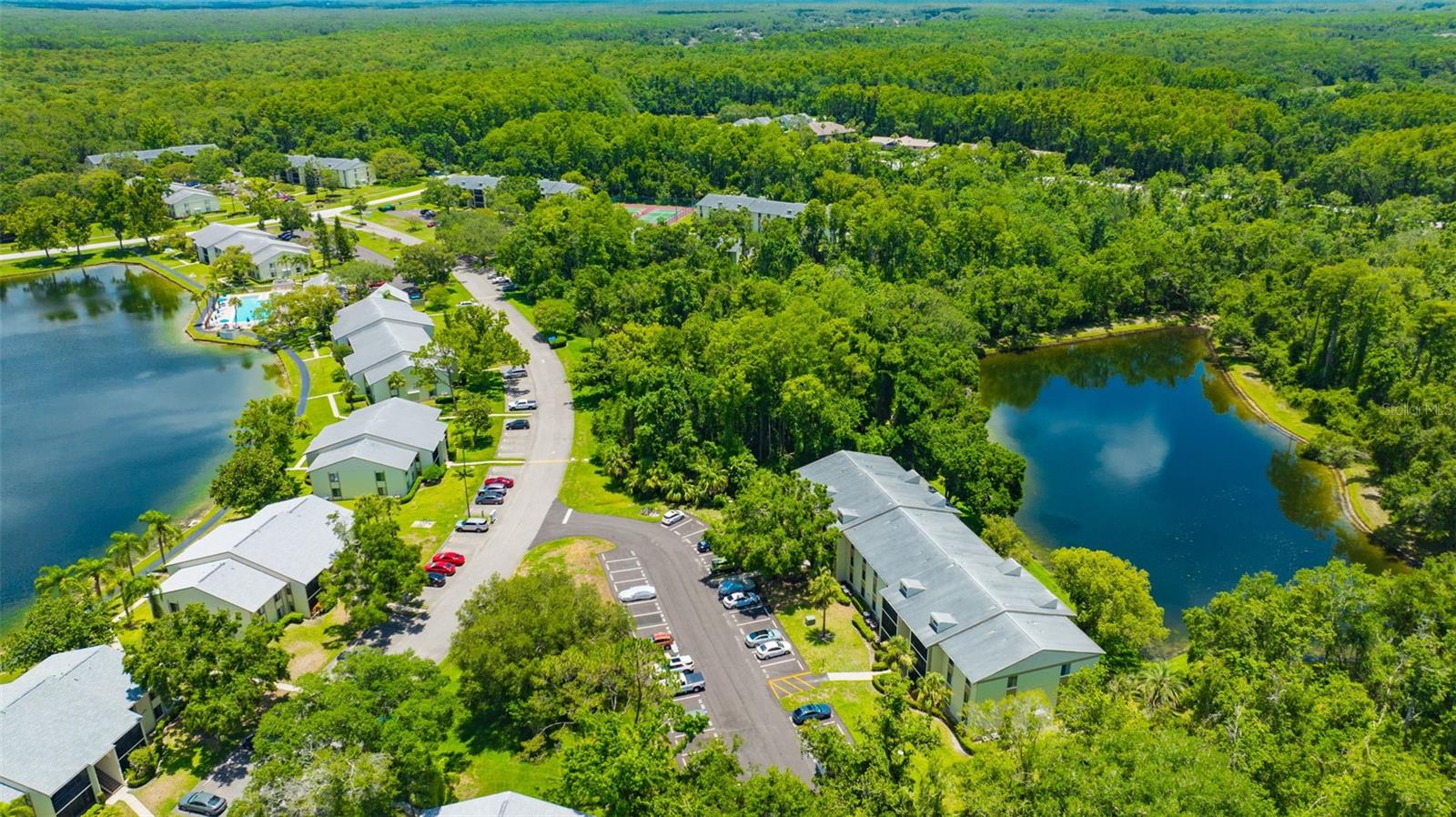 Community Aerial View