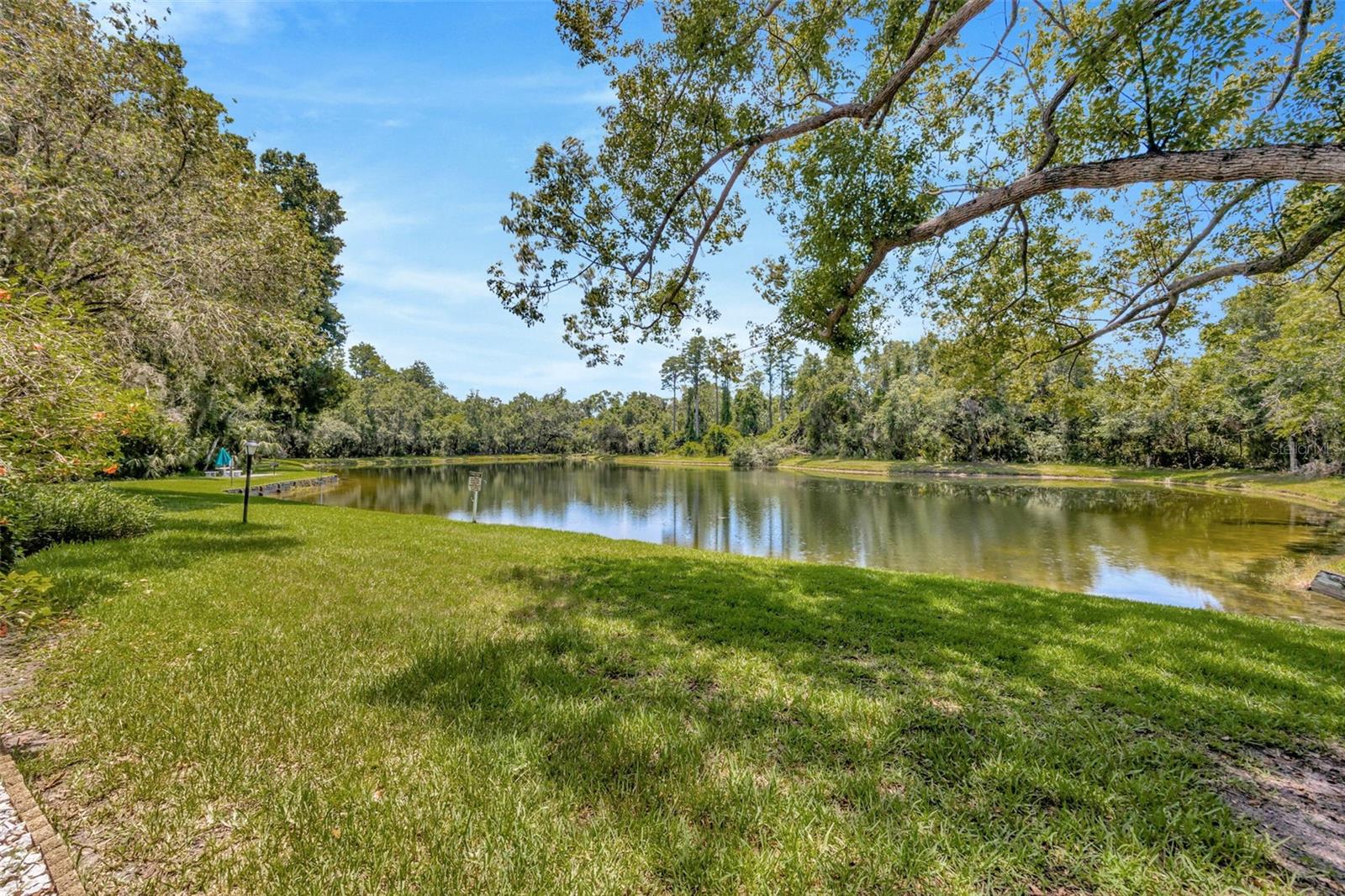 Serene Pond Views from Building 221