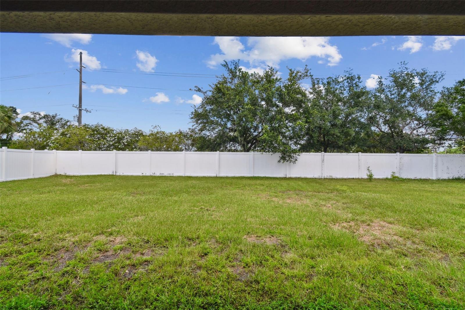 Backyard
