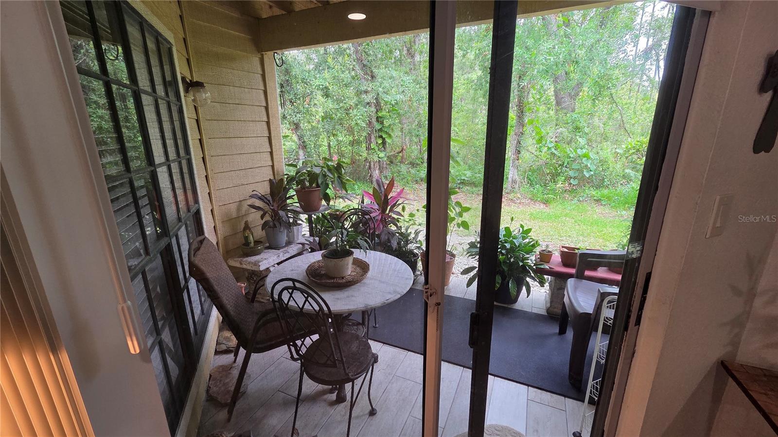 Patio View 1
