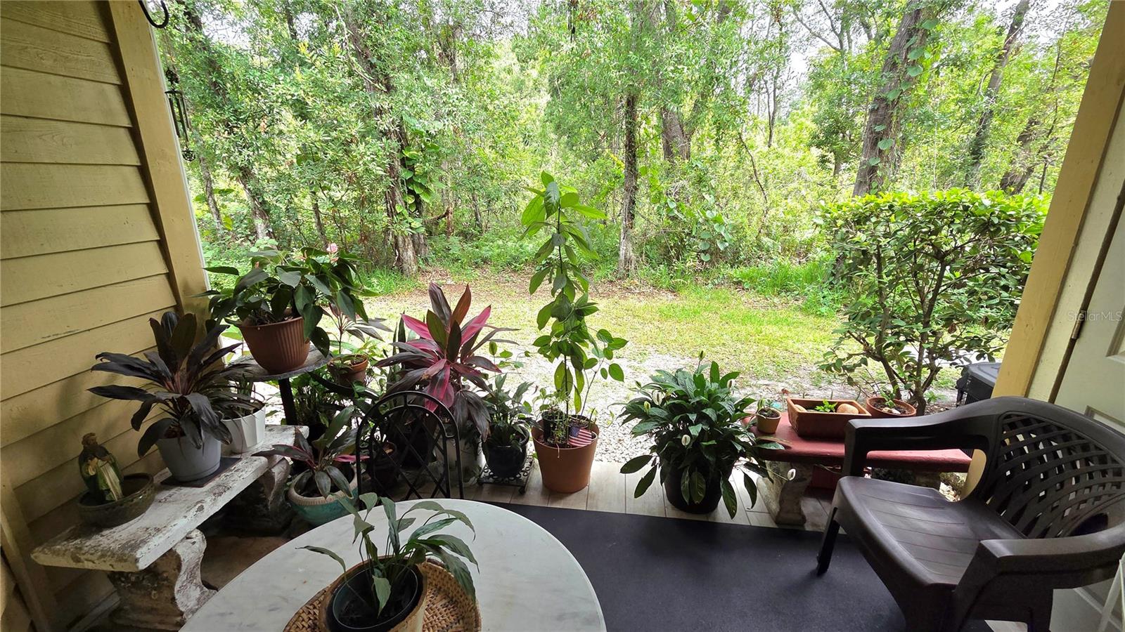 Patio View 2