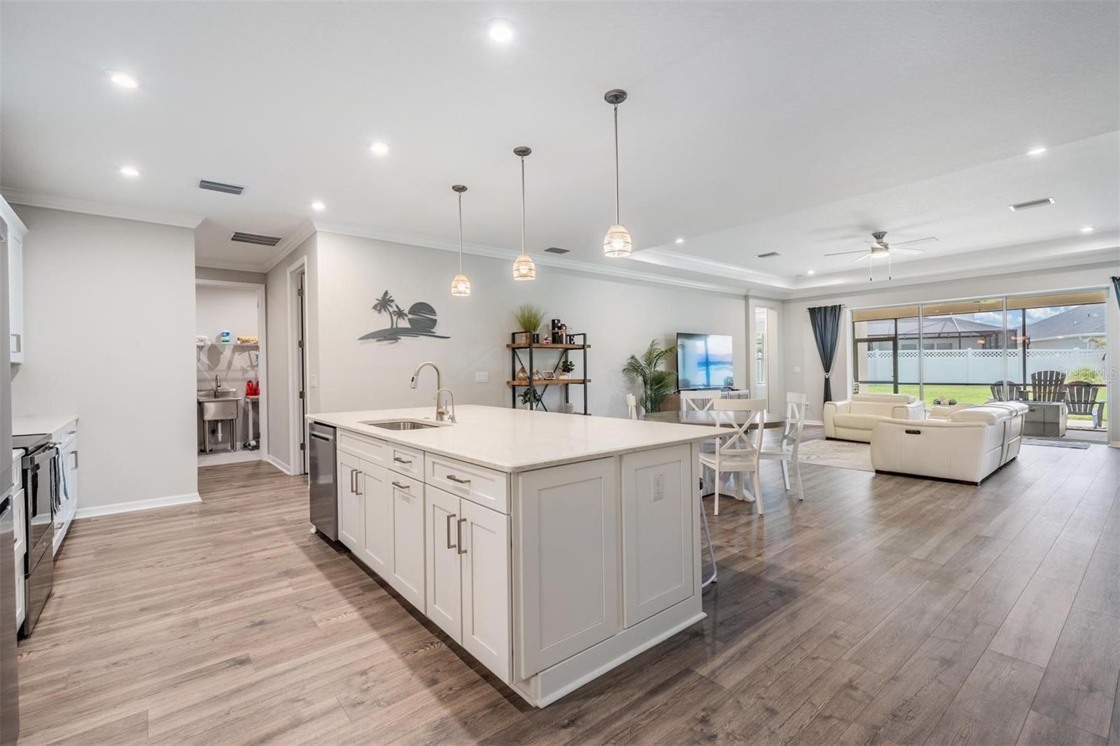 Kitchen and Living Room