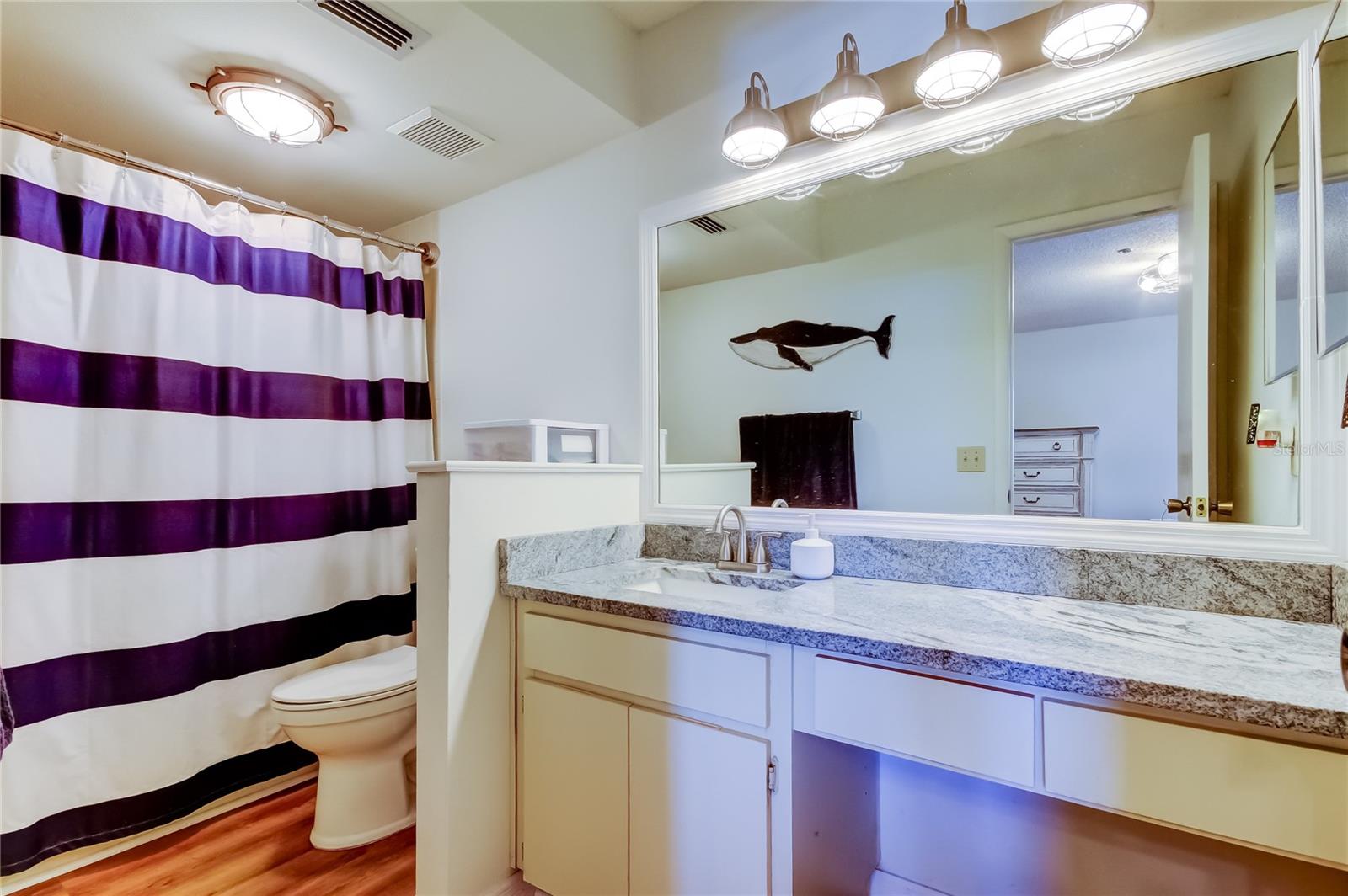 primary bathroom