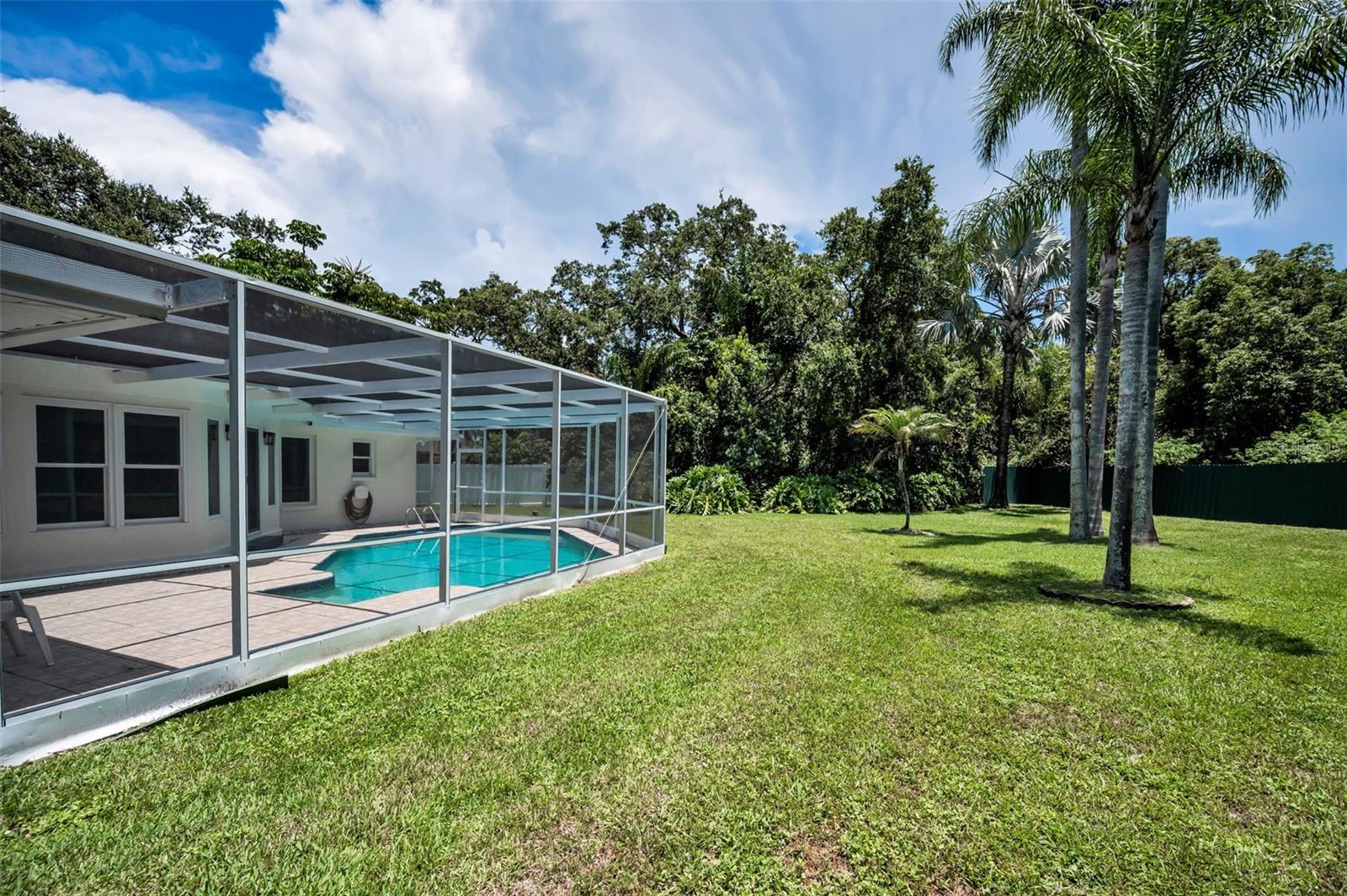 Oversized Yard
