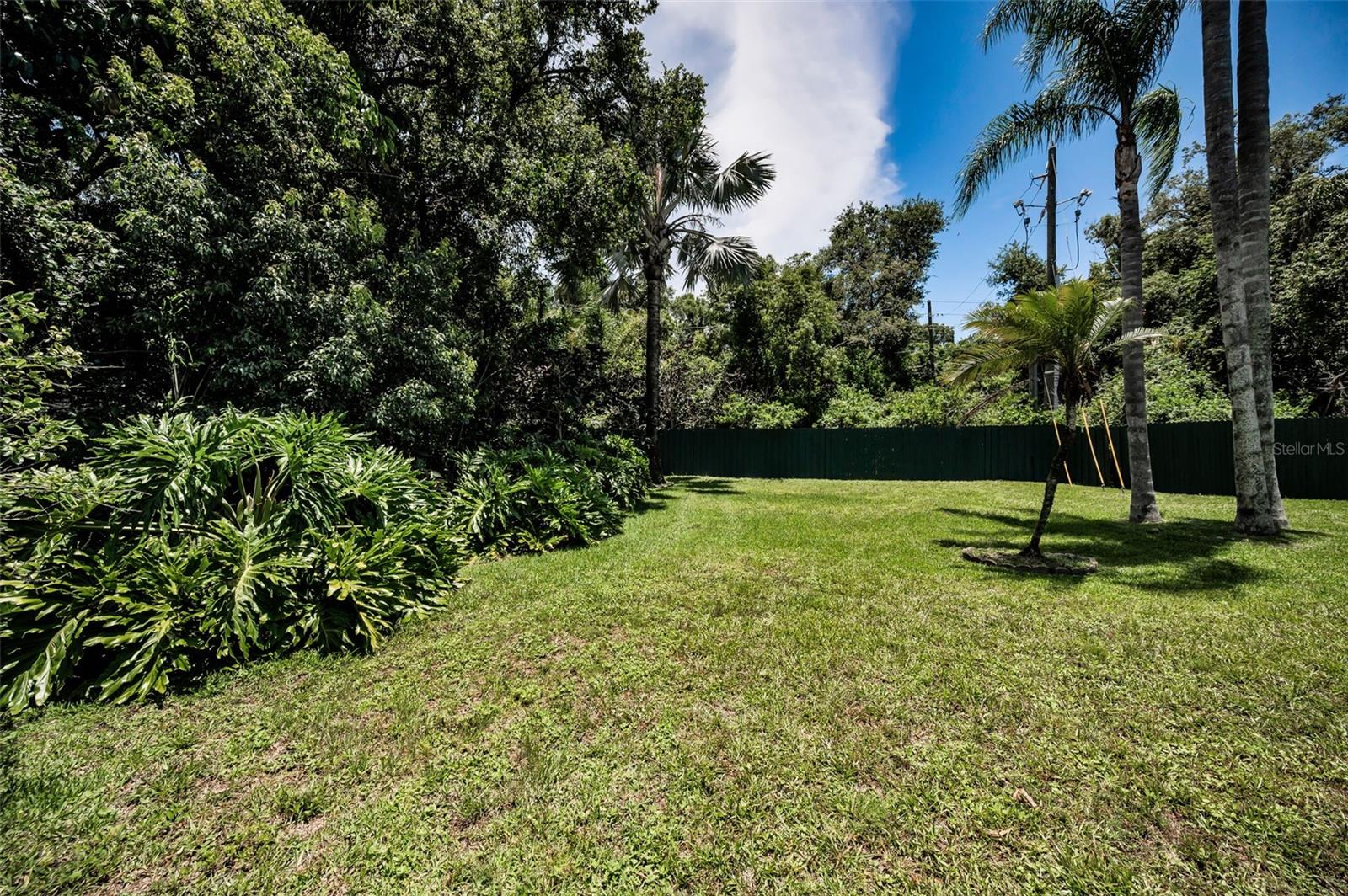 Backyard