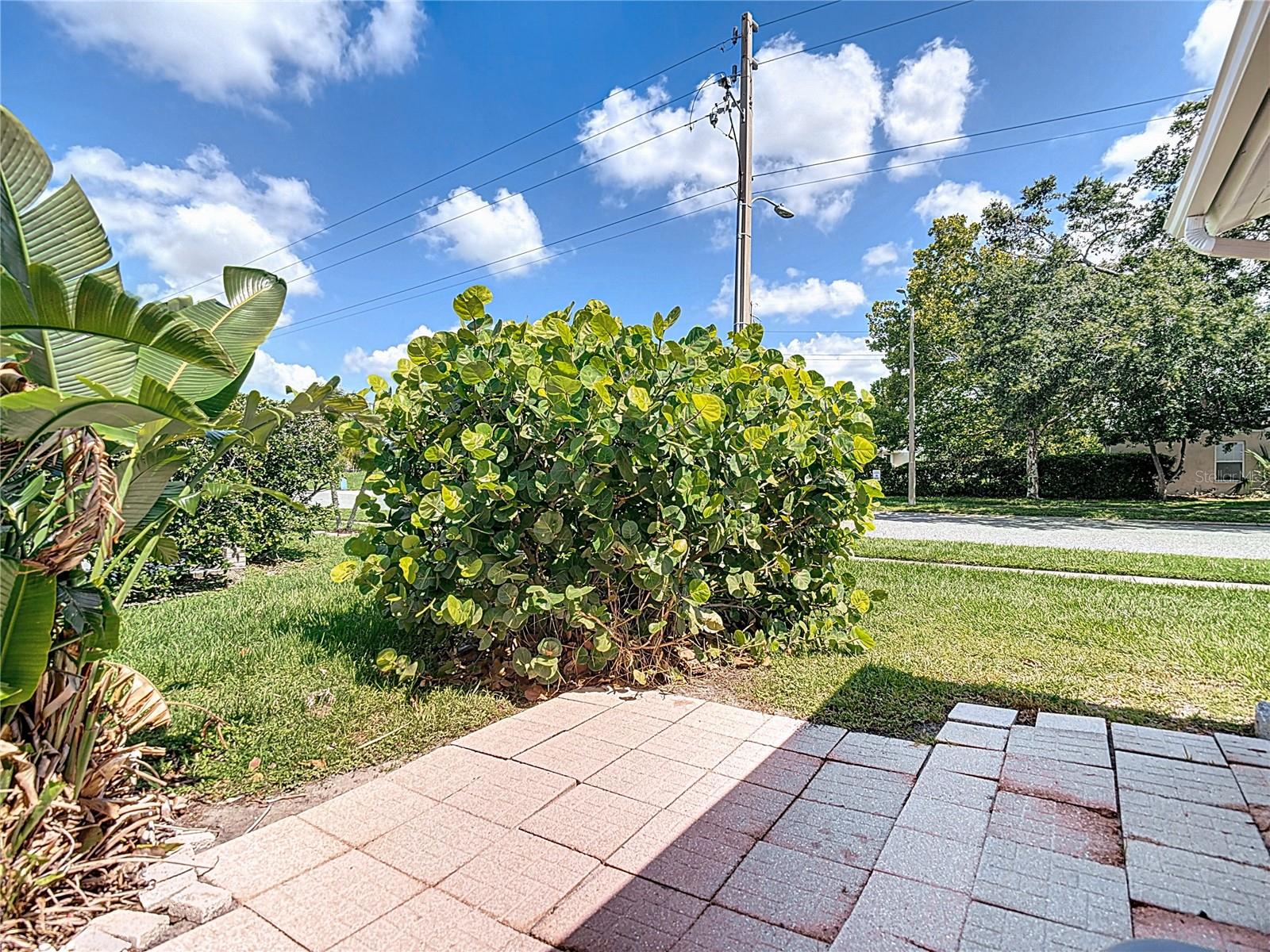 Rear patio