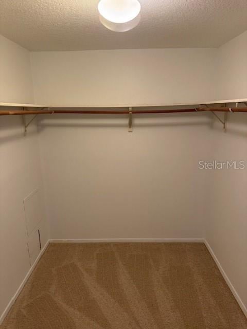 master walk in closet