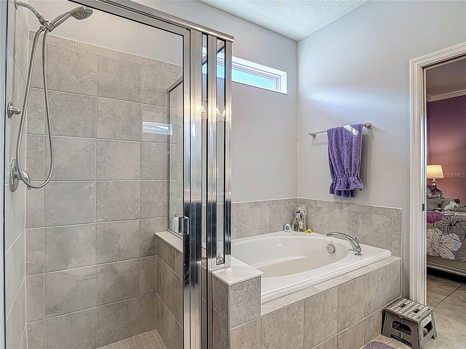 Owner's Suite Bath