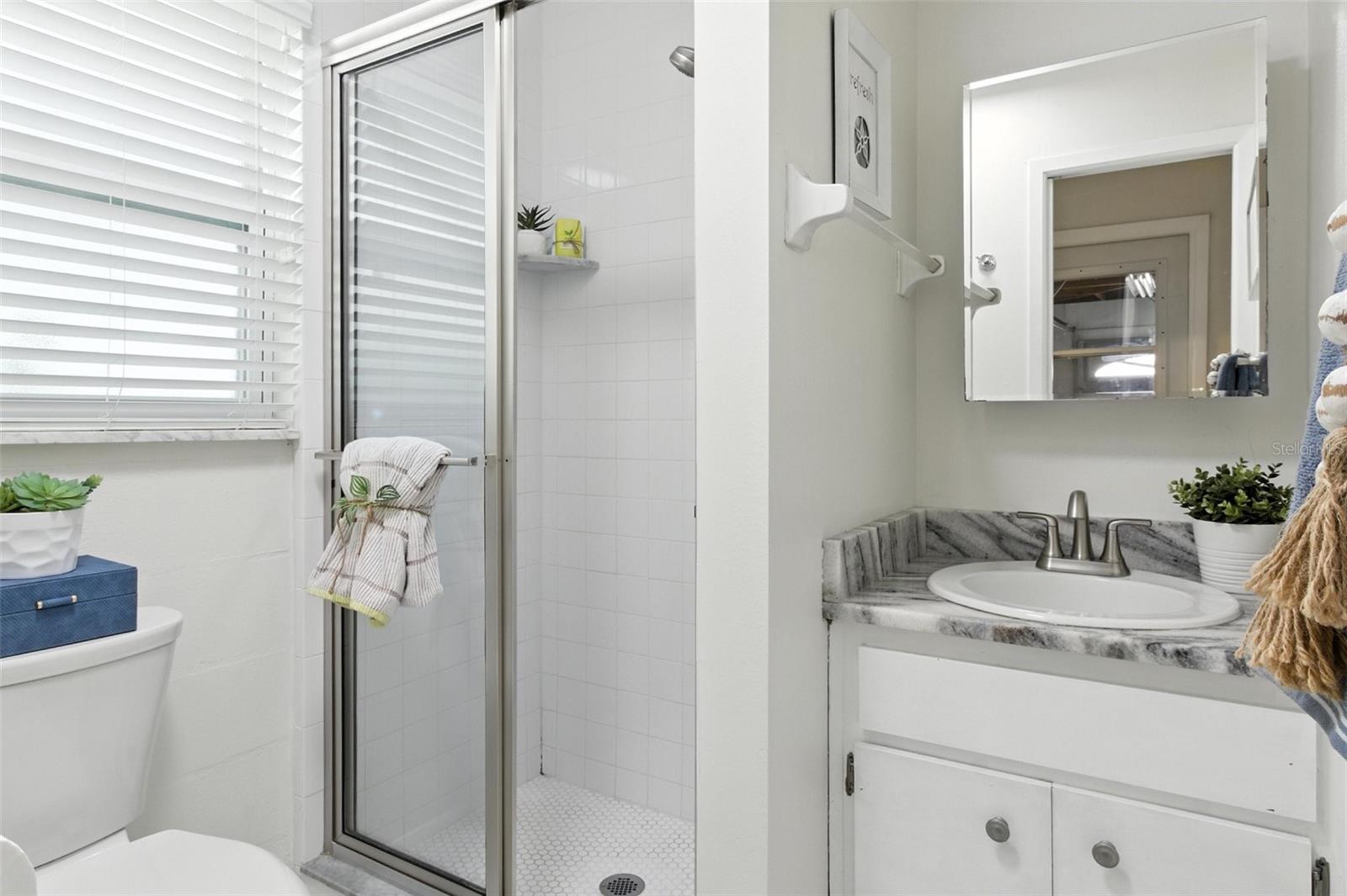 Guest bathroom