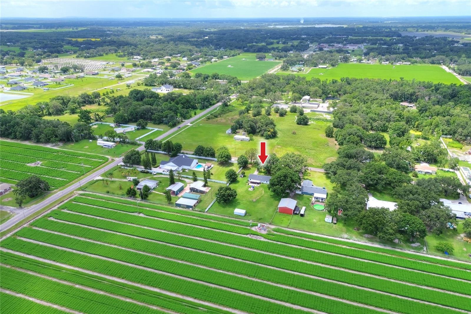 L4954000