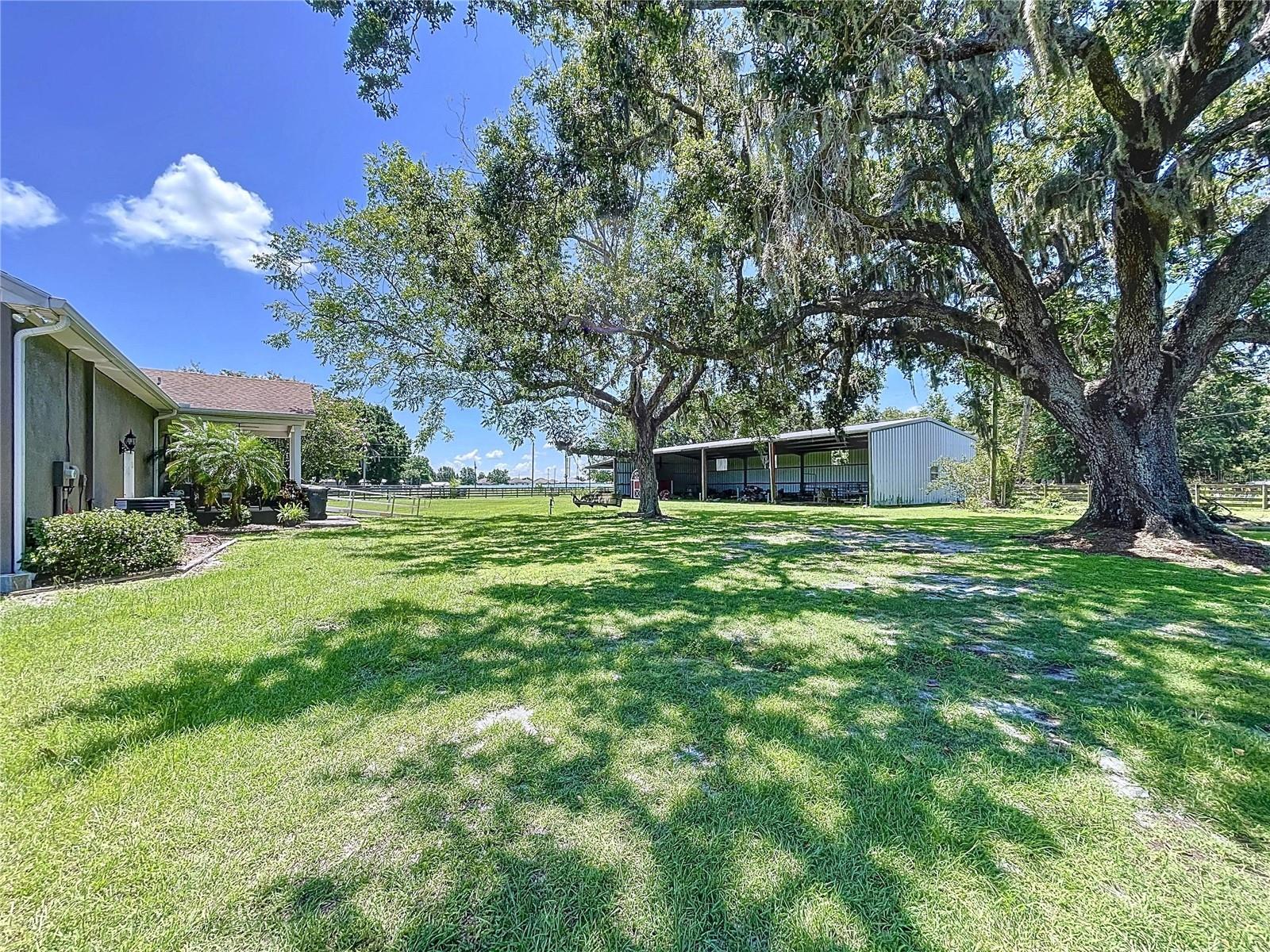 Back Yard