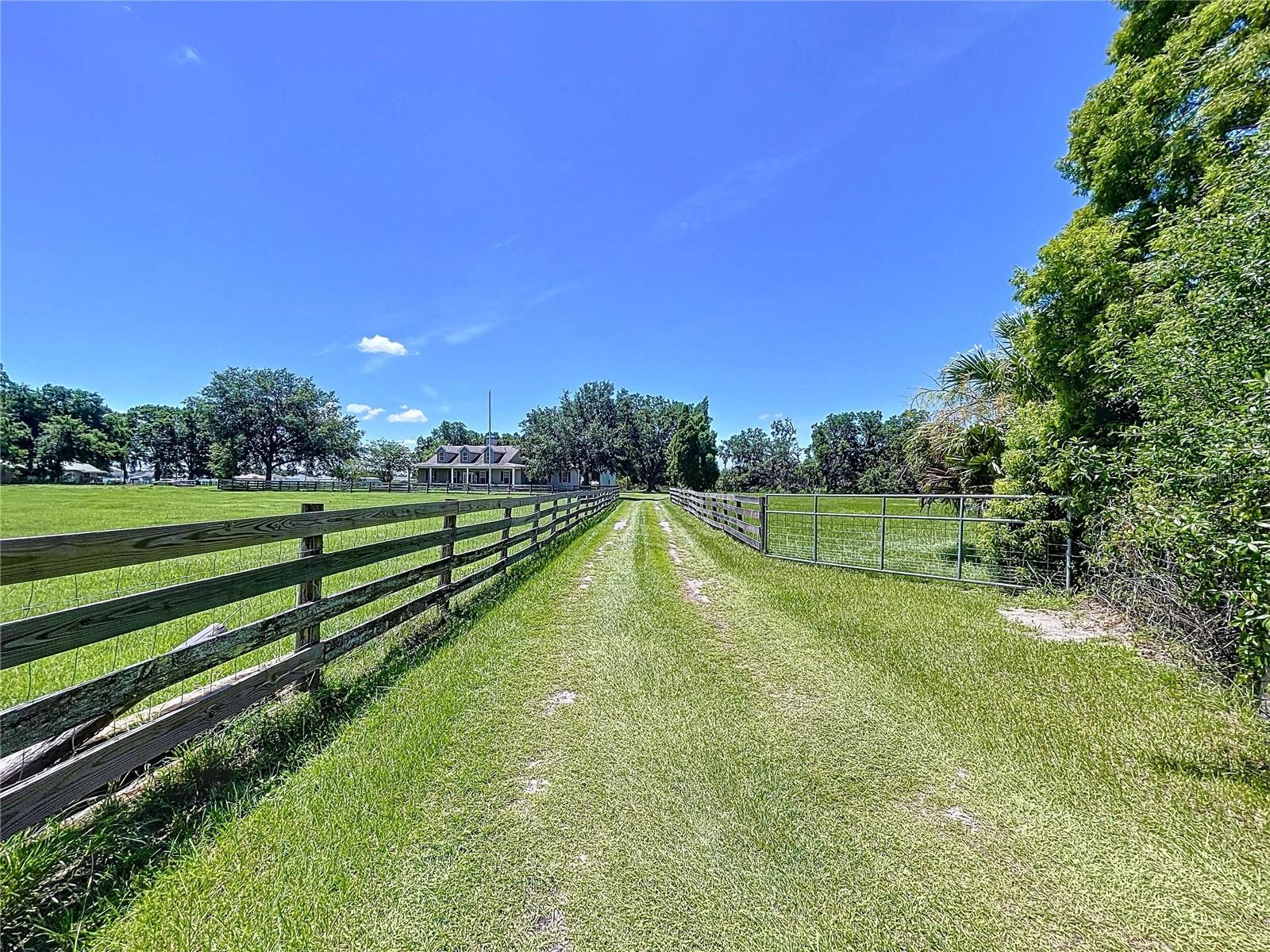 Driveway