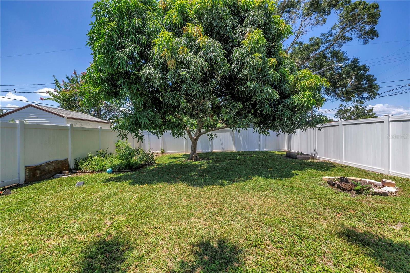 huge yard with your own mango tree