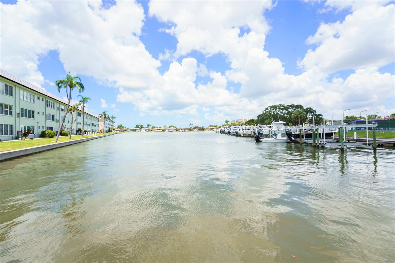 Watch dolphins, sailboats  and Florida water birds daily from your tree top perch!