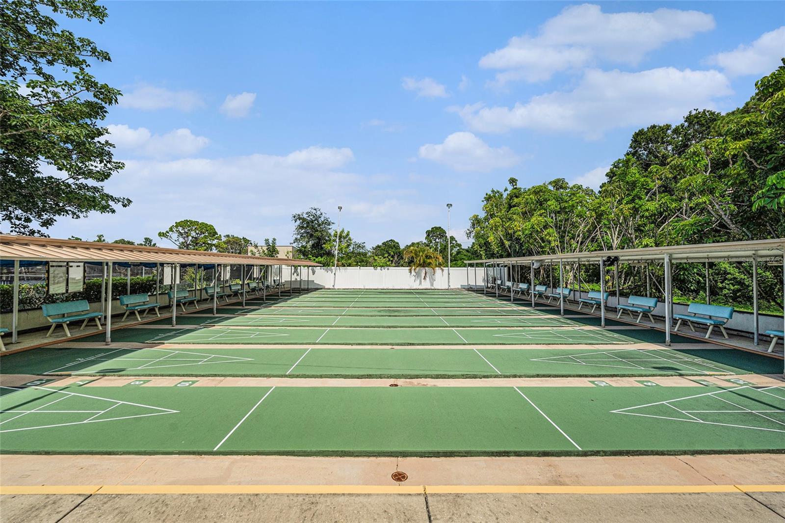 Shuffleboard
