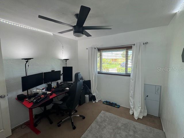 W7876800