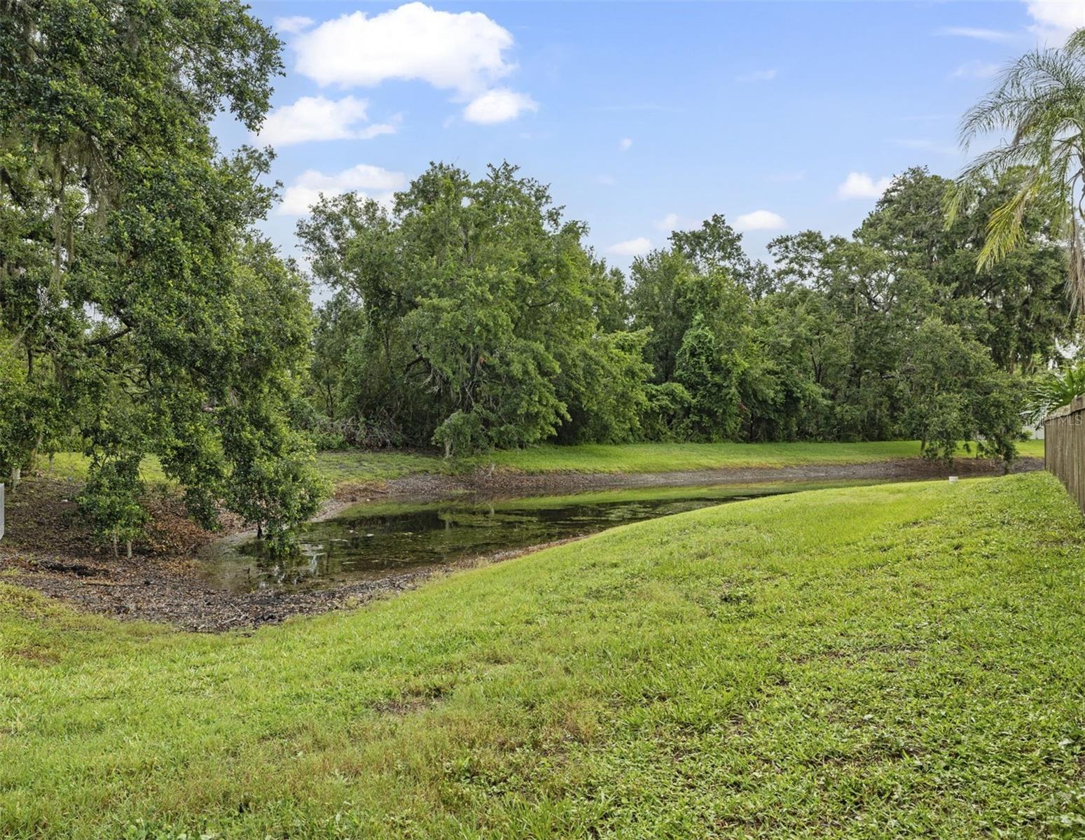 Conservation/Pond View