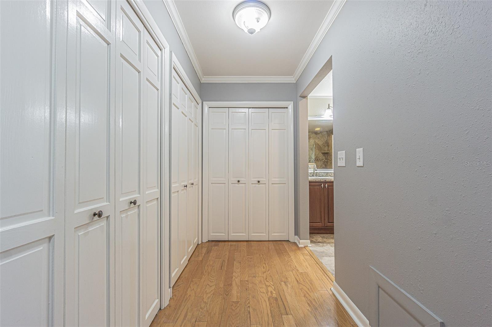 Primary Bedroom Closets