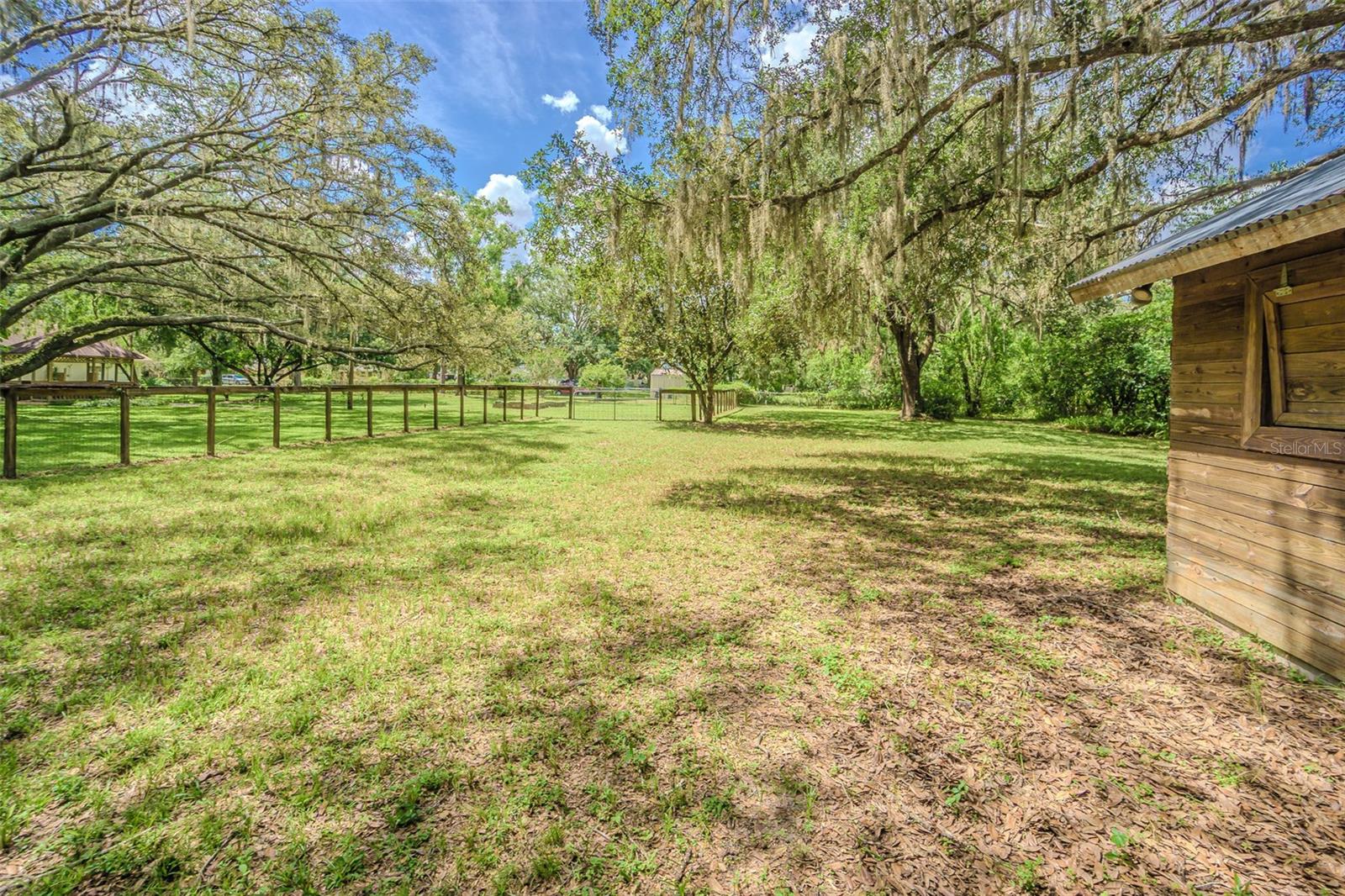 Fenced Area