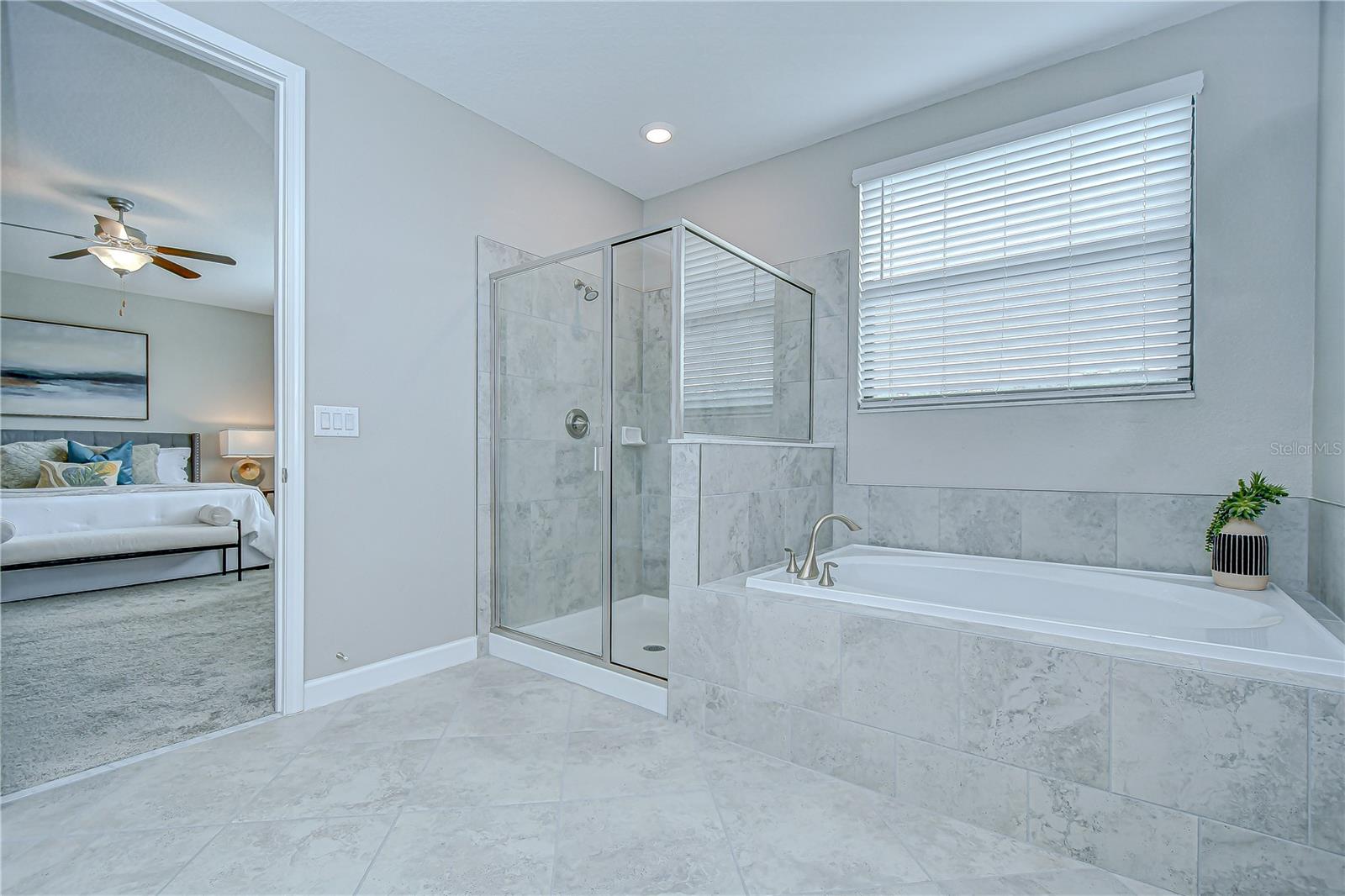 Walk-in Shower and Soaking Tub