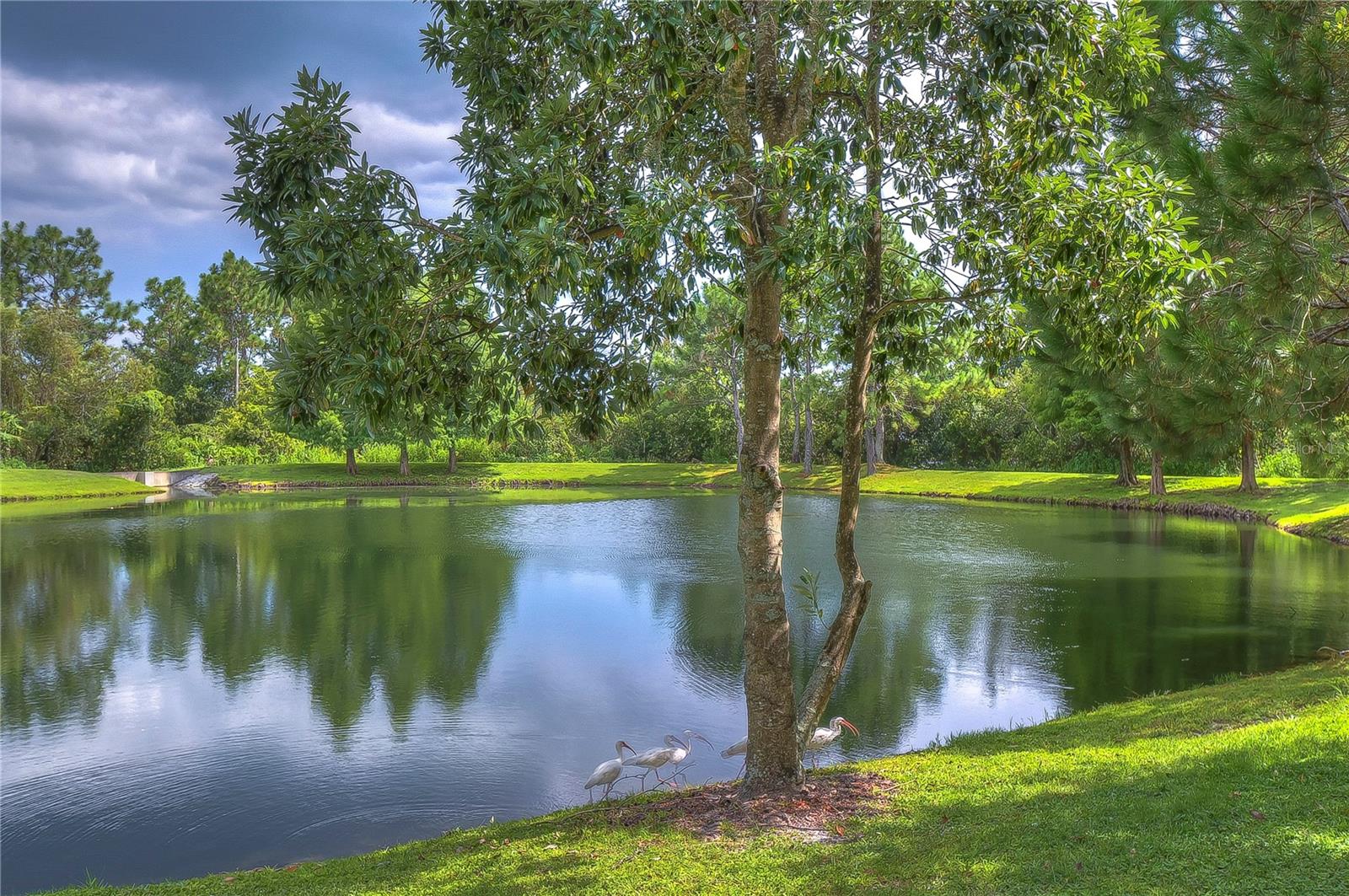 Beautiful Park and more...