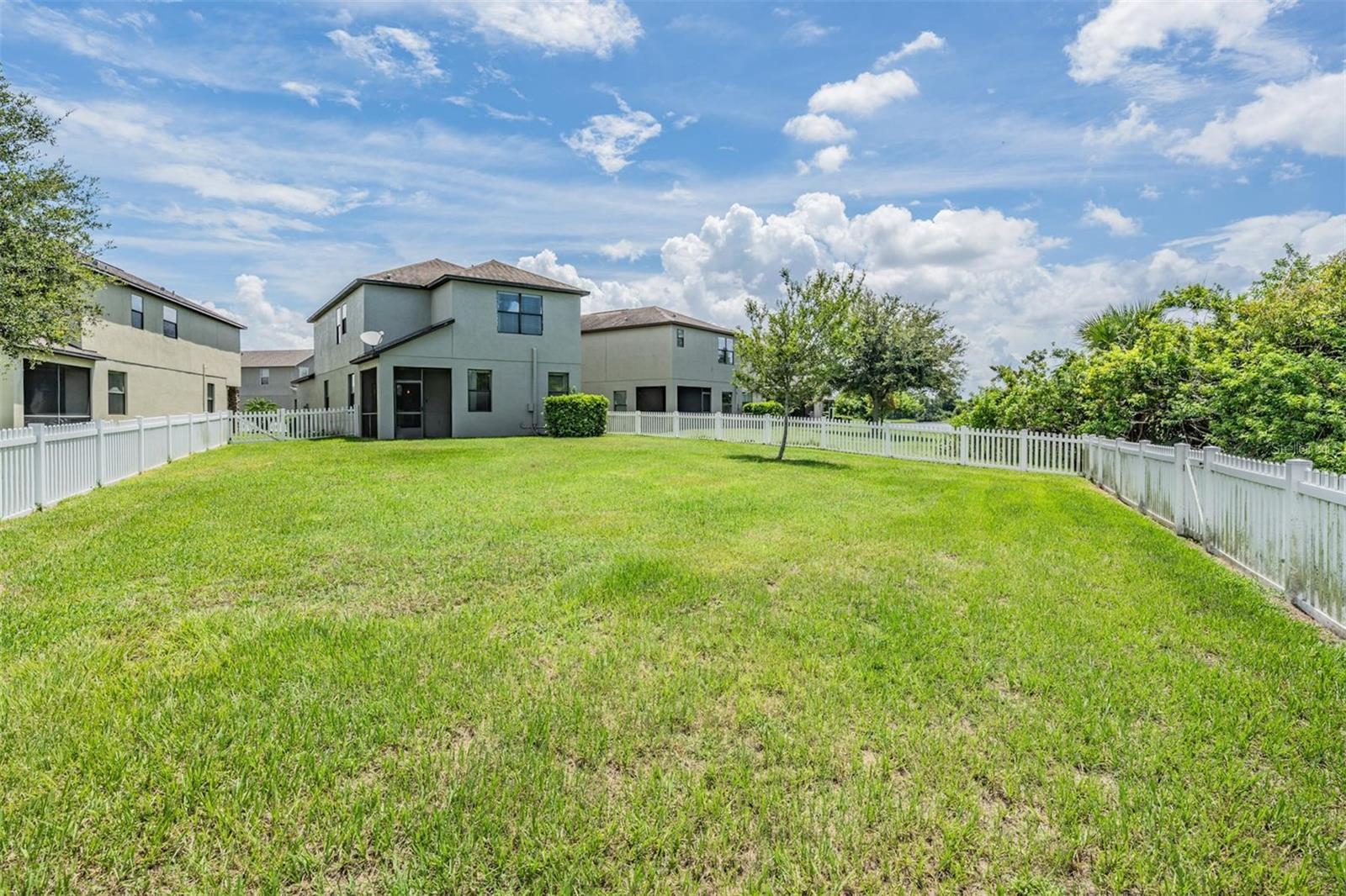 Expansive Backyard