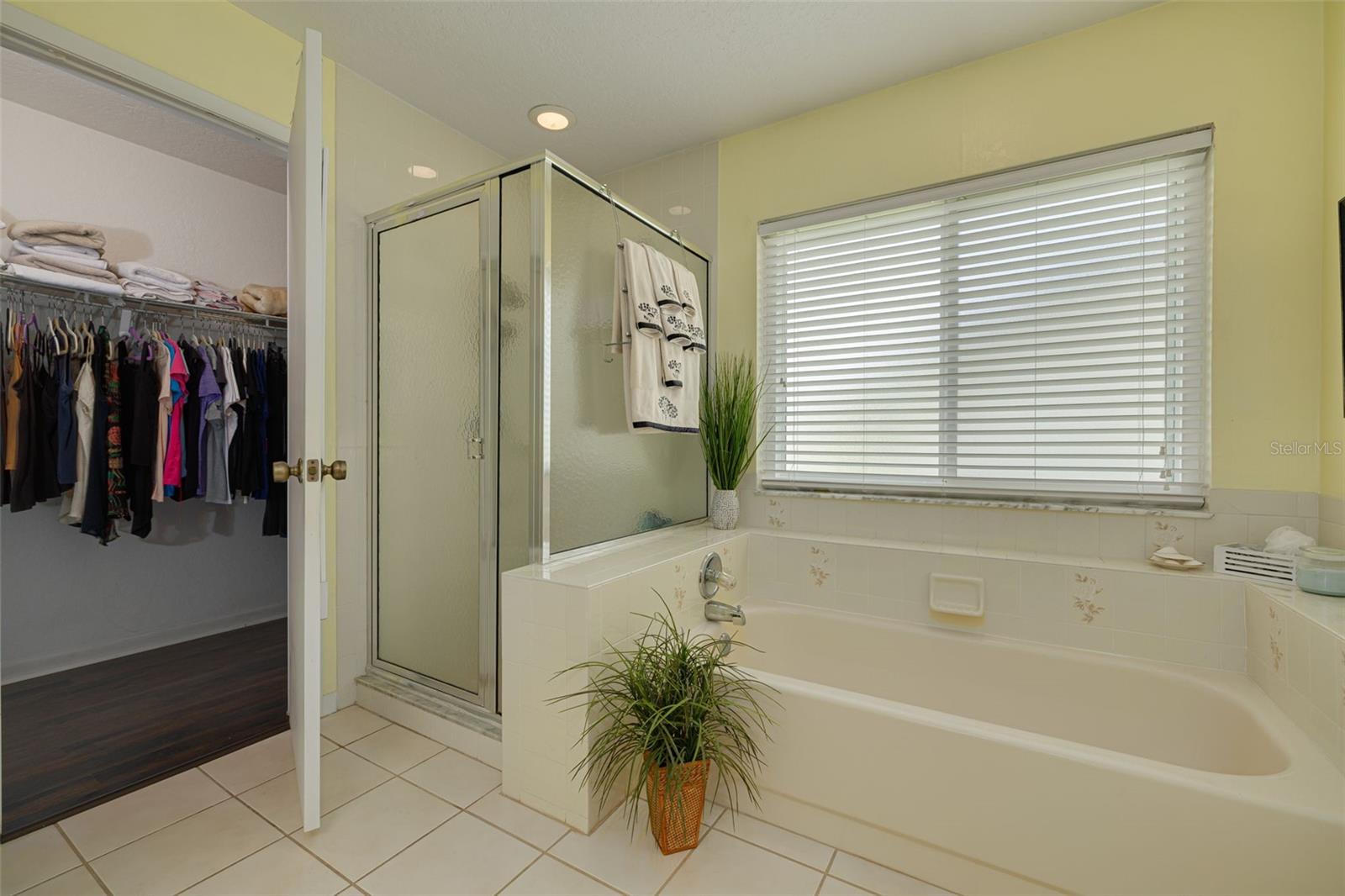 Separate tub and walk in shower with walk in closet