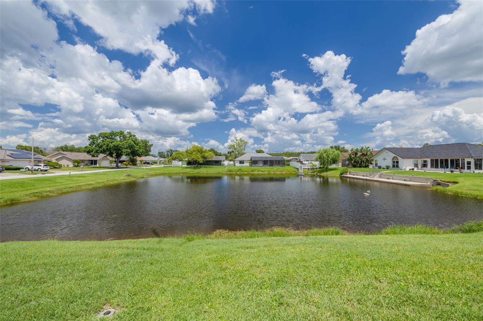 pond