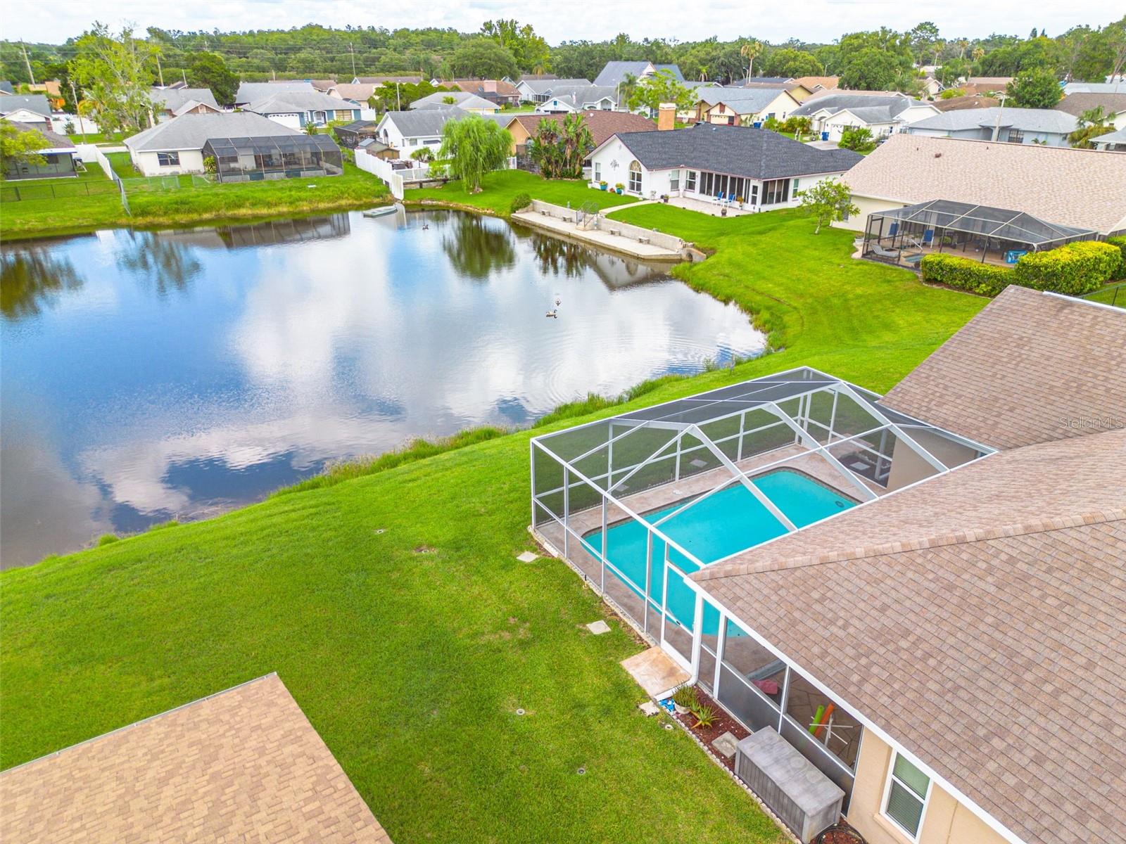 Backyard and pond view