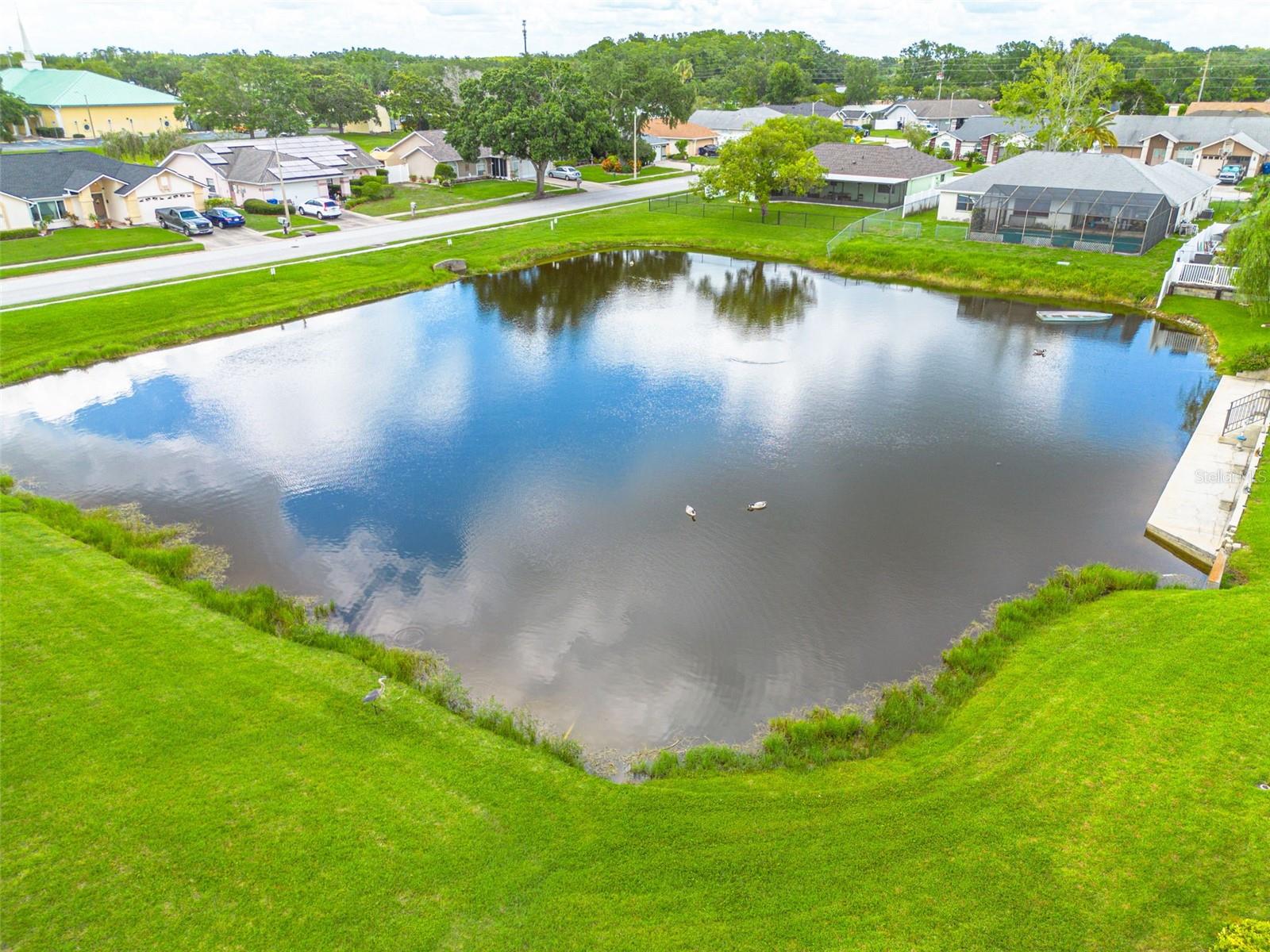 aerial of pond