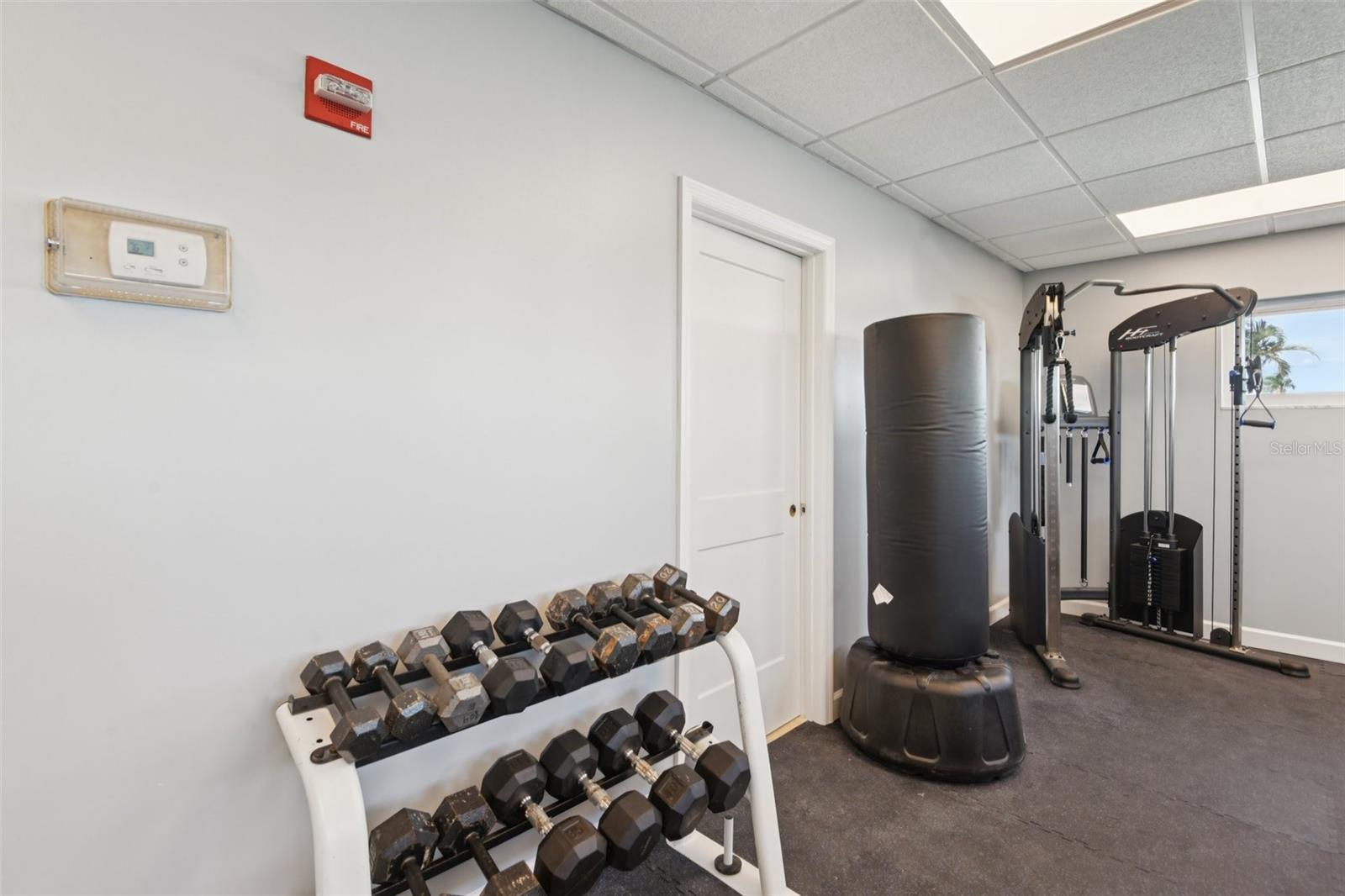 gym