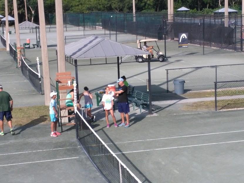 13 tennis courts /pickle ball courts
