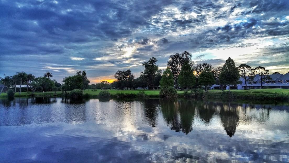 Long Bayou views