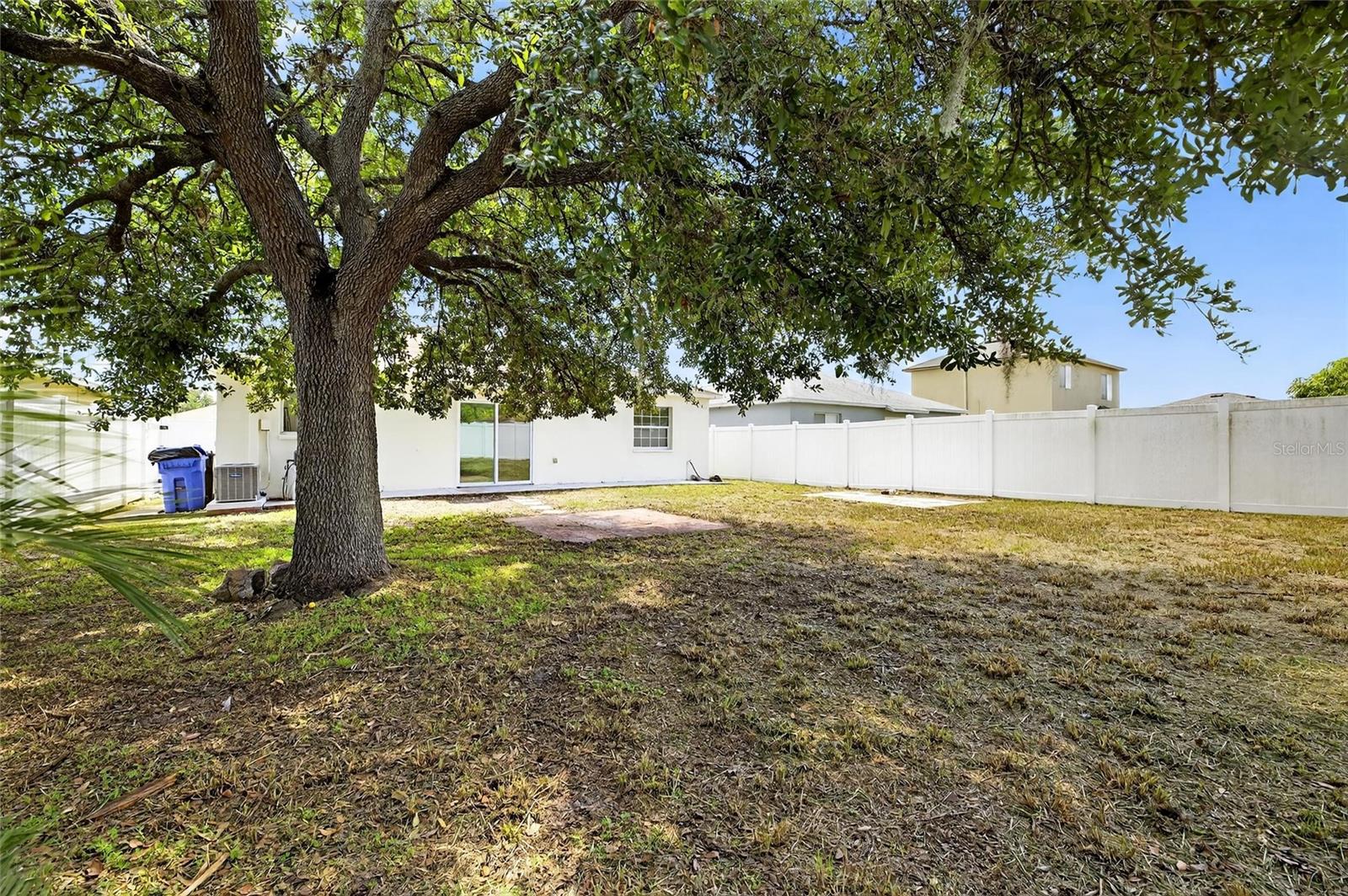 Backyard