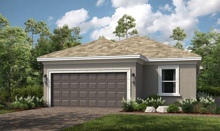 The Arezzo ~ Rendering