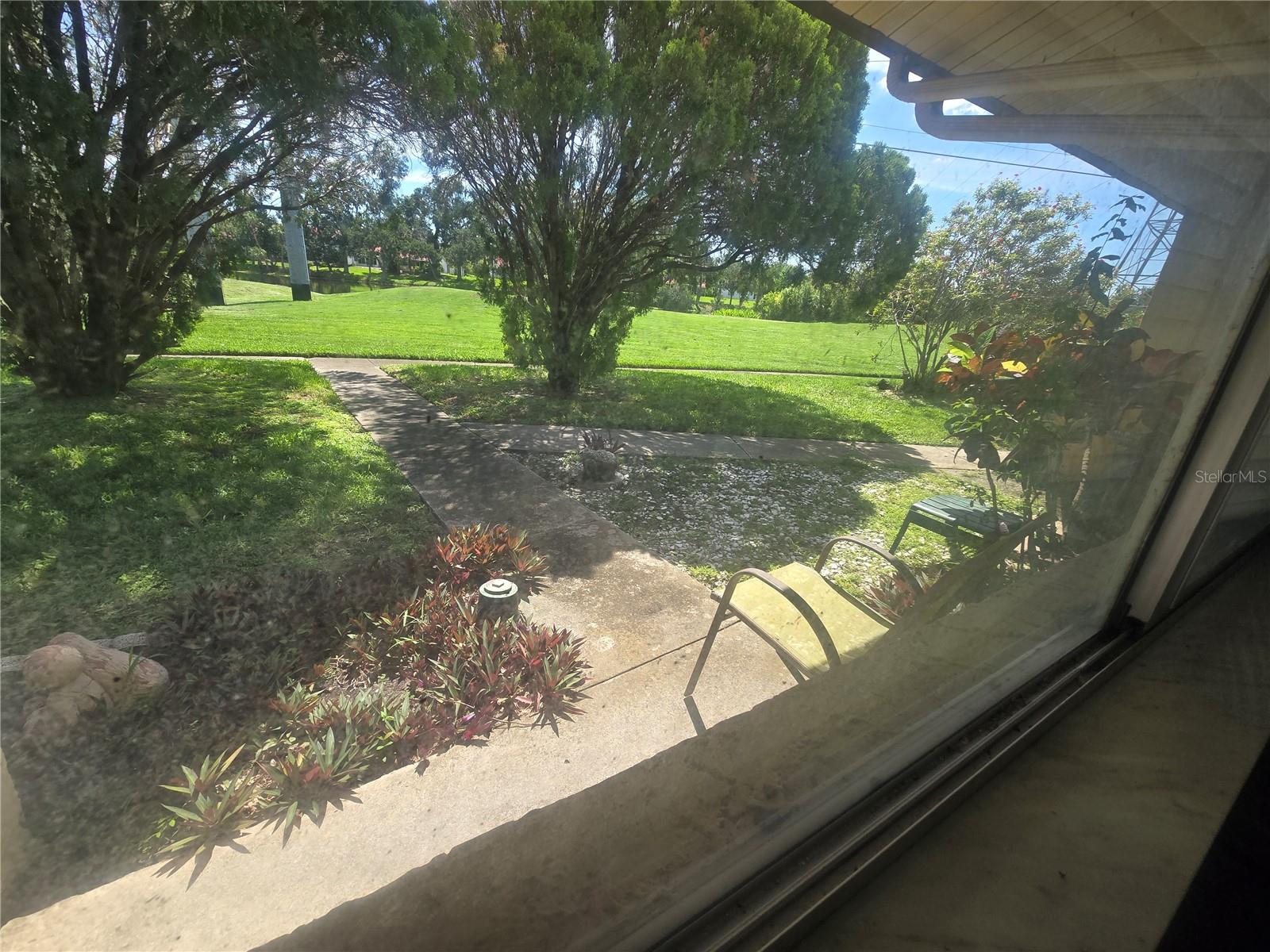 View from Dining window
