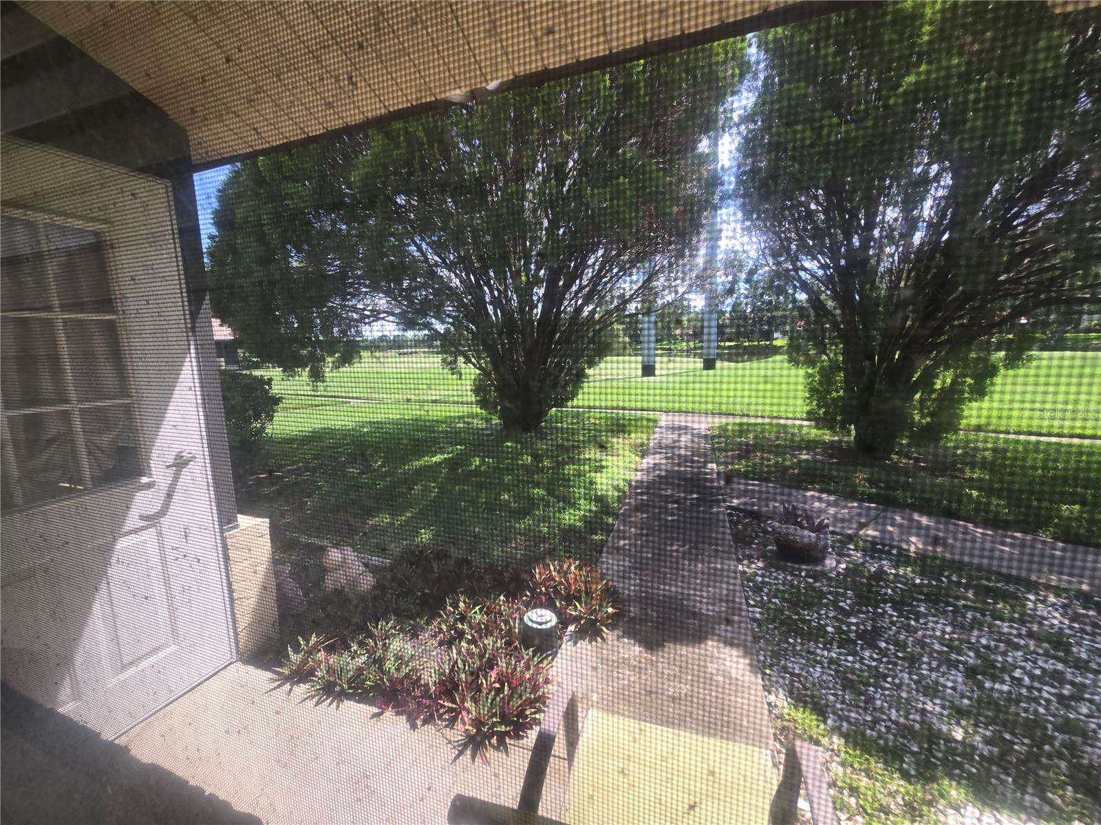 view from Dining room window