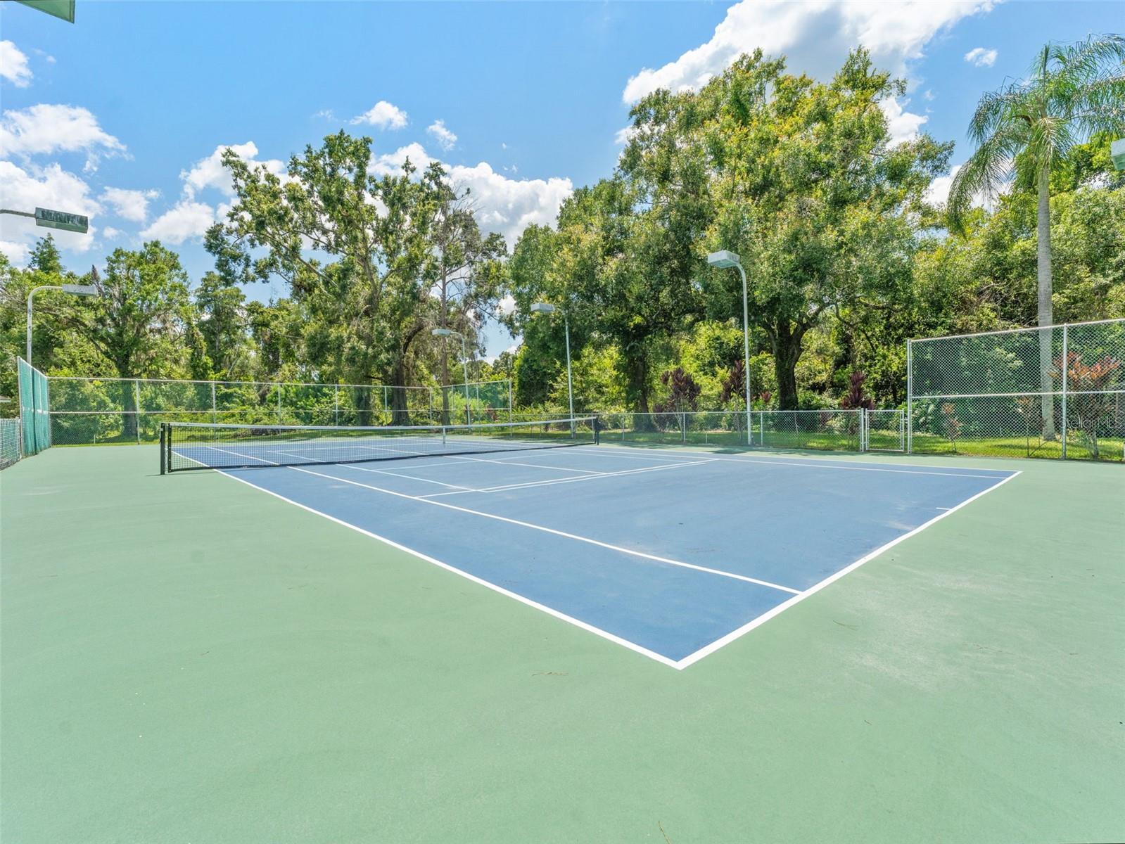 Fully rehabbed Tennis/Pickleball Court with professional lighting