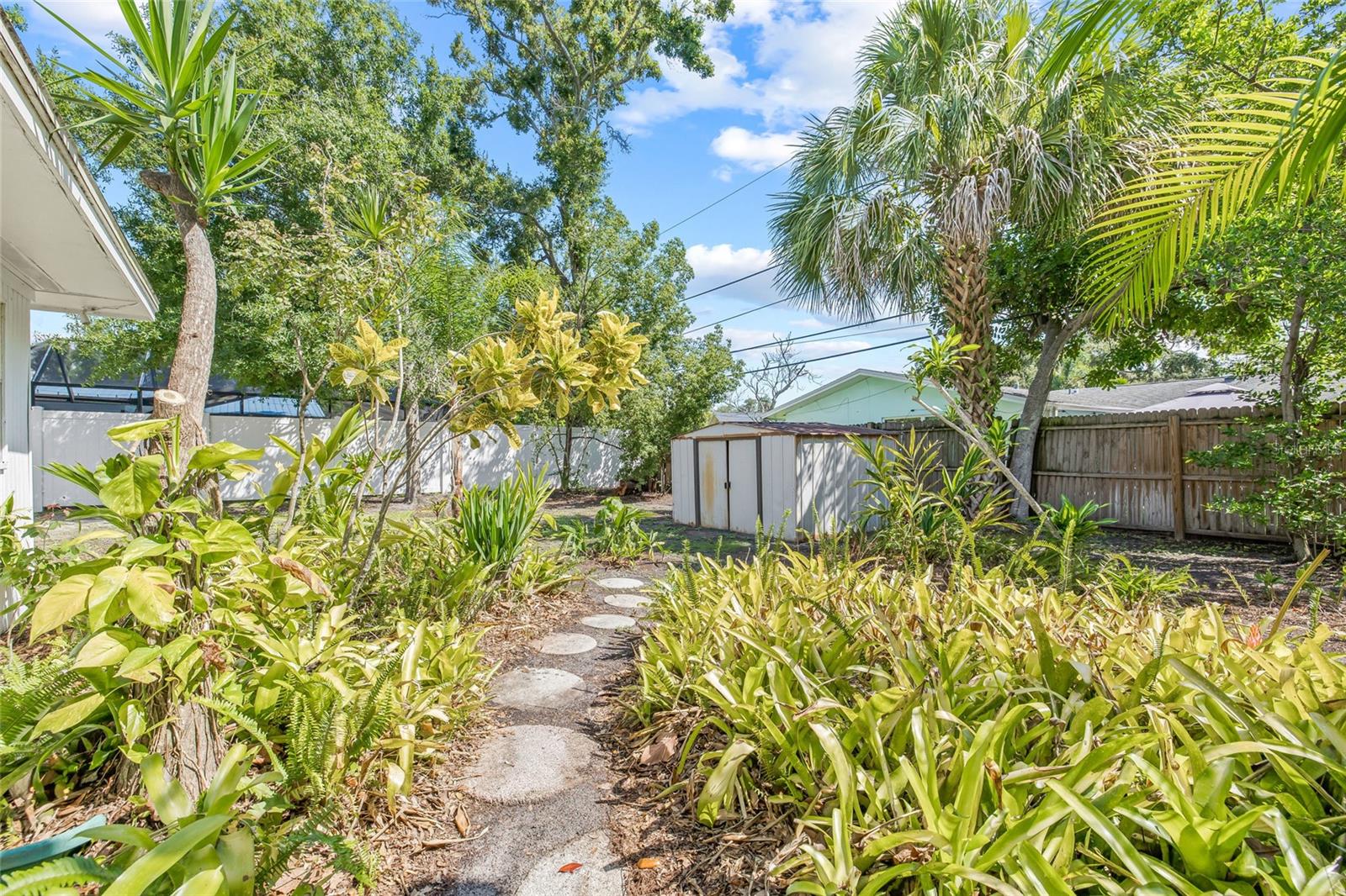 Back yard