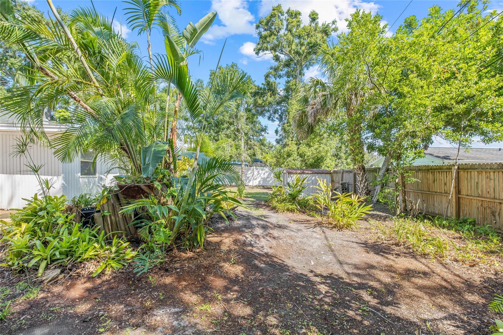 Back yard