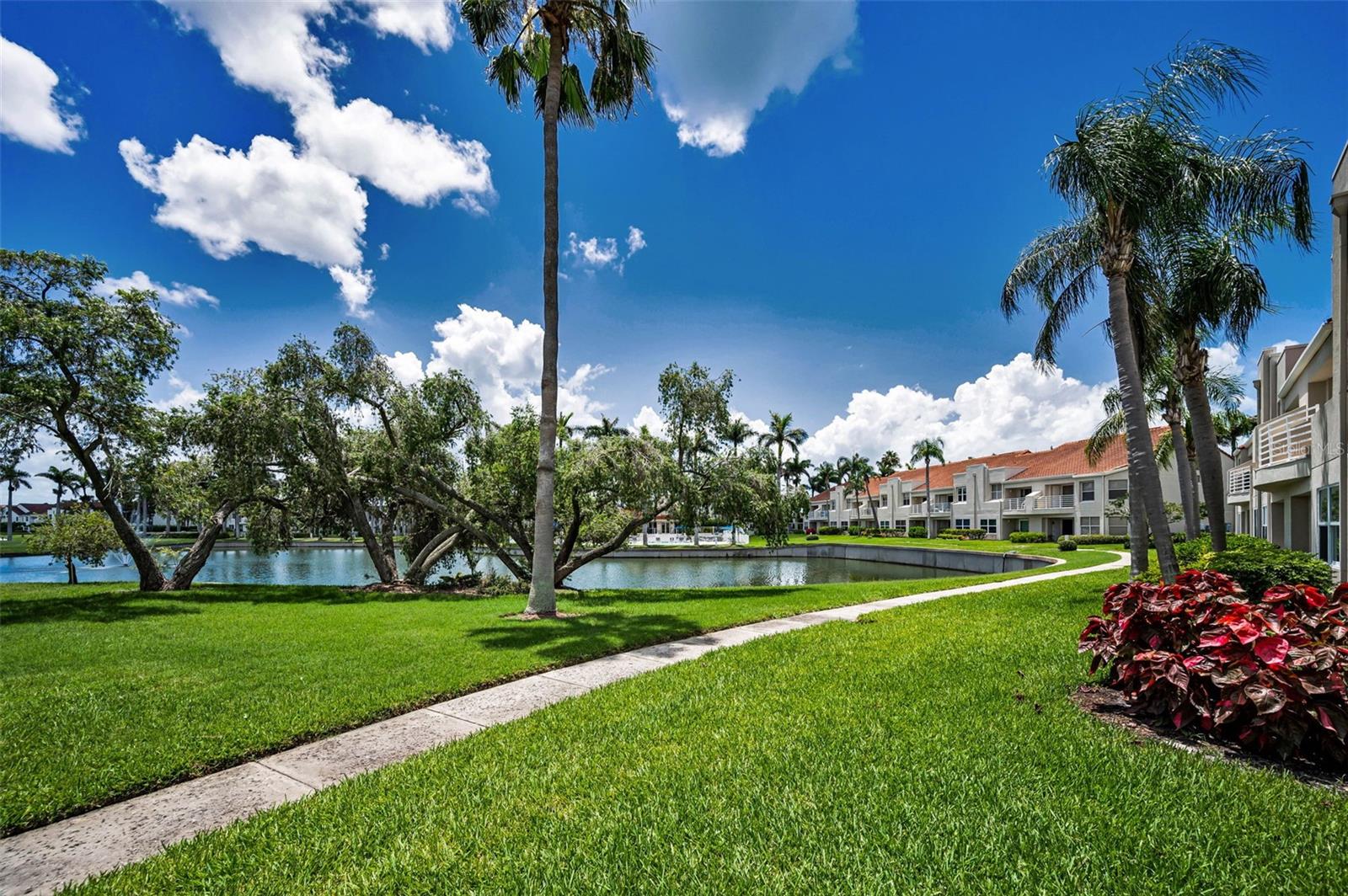 Side walk right outside your patio that lead to the pool