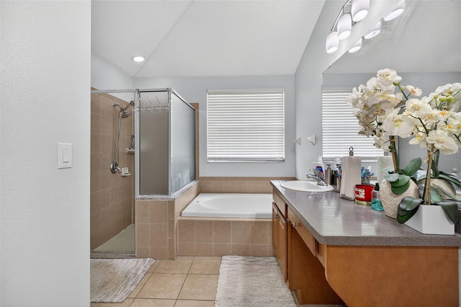 Garden tub & walk-in shower