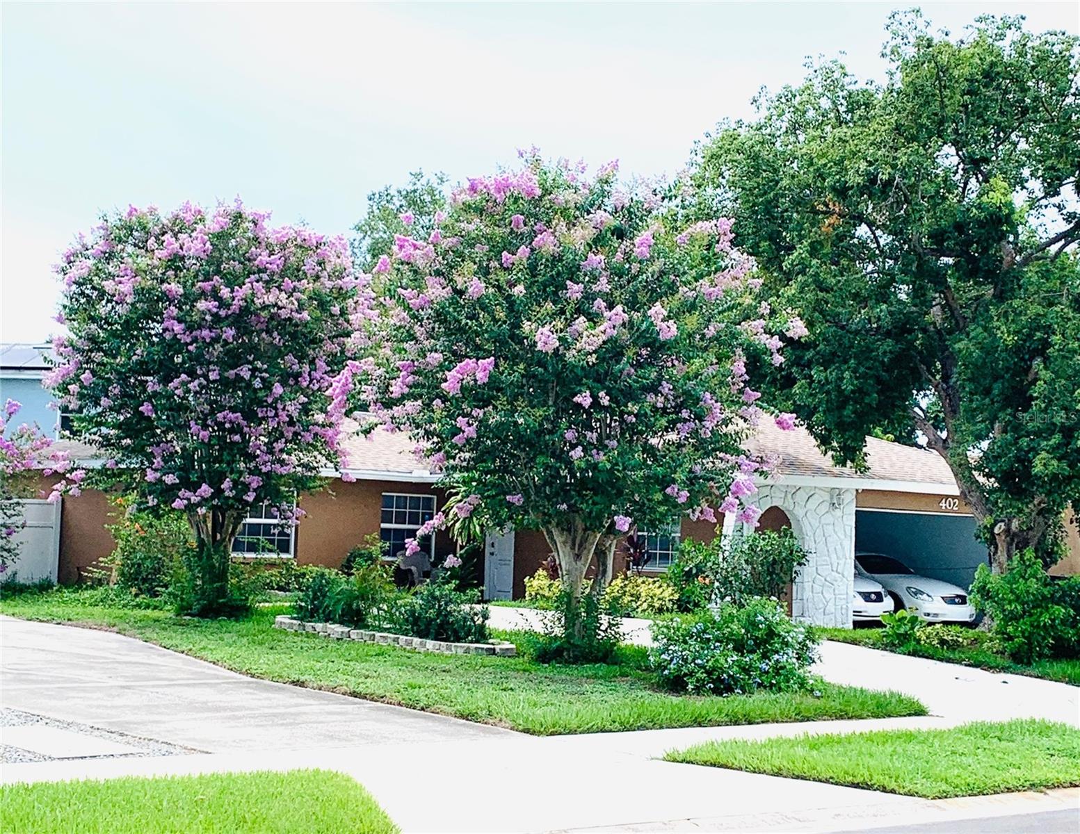 Pretty & Mature Landscaping