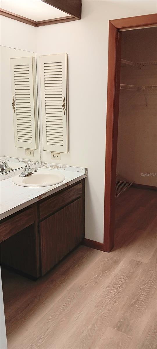 Masterbath Sink Area/Walk in Closet Area