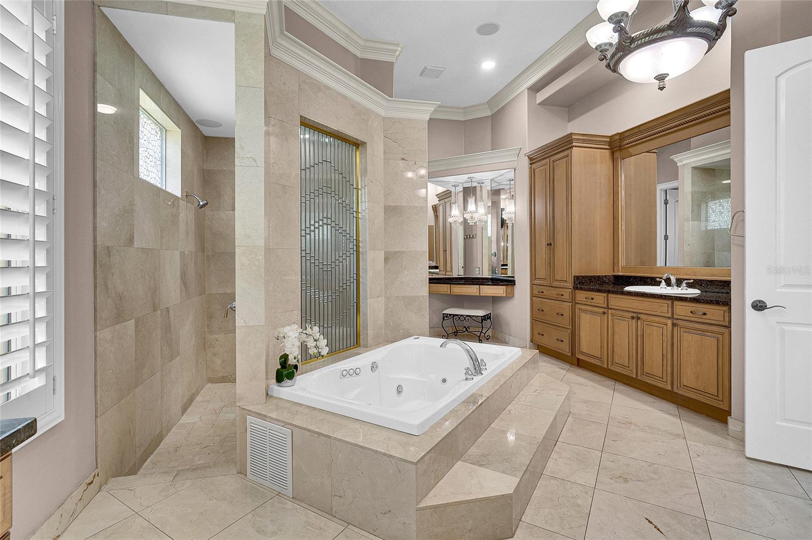 Walkthrough shower and jacuzzi tub