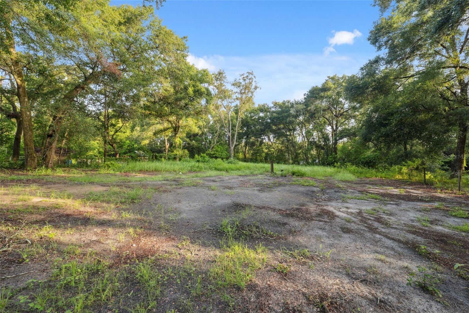 Rear Yard