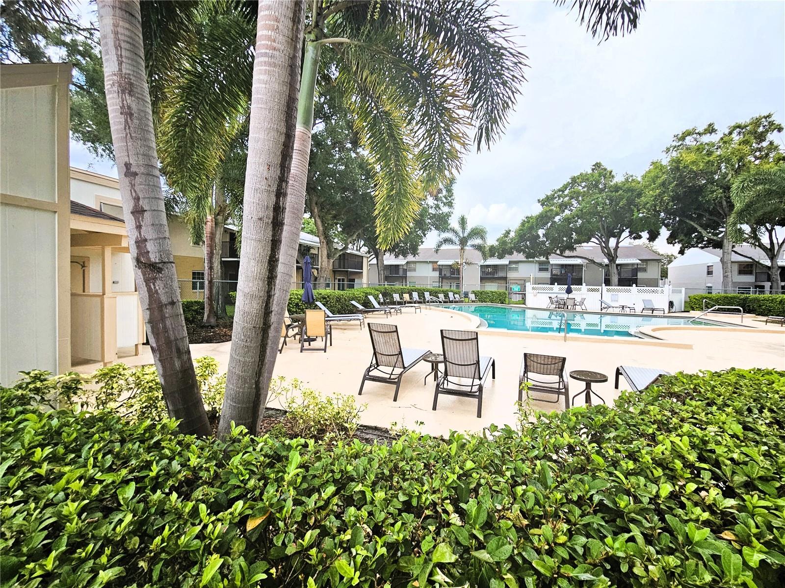 Community pool